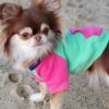 Dog Hoodies Color-Block