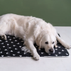 Disney Heating and Cooling Pet Pad