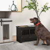 Elevated Dog Bowls with Stylish Storage Cabinet