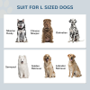 Elevated Dog Bowls with Stylish Storage Cabinet