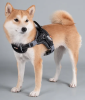 High-Performance Chest Strap Dog Harness