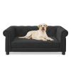 Modern and Fashionable Sofa Dog Beds