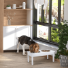 Elevated Dog Bowls with 2 Stainless Steel Pet Bowls