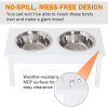 Elevated Dog Bowls with 2 Stainless Steel Pet Bowls