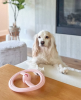 Mint-Infused Interactive Dog Fetch Toys