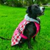 Alpine All-Weather Dog Coats