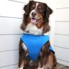 Alpine Tuf Terrain Dog Coats