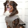 Alpine Tuf Terrain Dog Coats