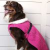 Alpine Tuf Terrain Dog Coats