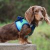 Choke Free Step-In Dog Harnesses - Ombre Collection