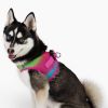 Choke Free Step-In Dog Harnesses - Ombre Collection