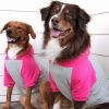 Dog Hoodies Color-Block
