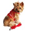 Cool Mesh Chest Strap Dog Harnesses with Leash