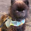 Cool Mesh Chest Strap Dog Harnesses with Leash