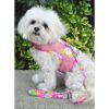 Cool Mesh Chest Strap Dog Harnesses with Leash