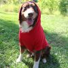 Flex-Fit Dog Hoodies