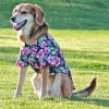 Hawaiian Camp Dog Shirts