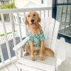 Hawaiian Camp Dog Shirts
