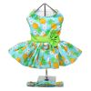 Pineapple Luau Dog Dress with Matching Leash