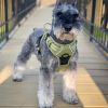 Pull Control Double-Clip Dog Harnesses - Aspen