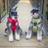 Pull Control Double-Clip Dog Harnesses - Aspen