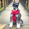 Pull Control Double-Clip Dog Harnesses - Crimson