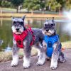 Pull Control Double-Clip Dog Harnesses - Mountain Lake