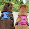 Pull Control Double-Clip Dog Harnesses - Mountain Lake
