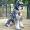 Pull Control Double-Clip Dog Harnesses - Dried Sage