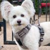 Pull Control Double-Clip Dog Harnesses - Dried Sage