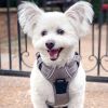 Pull Control Double-Clip Dog Harnesses - Dried Sage