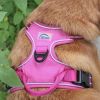 Pull Control Double-Clip Dog Harnesses - Wild Raspberry
