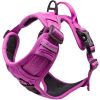 Pull Control Double-Clip Dog Harnesses - Wild Raspberry