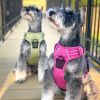 Pull Control Double-Clip Dog Harnesses - Wild Raspberry