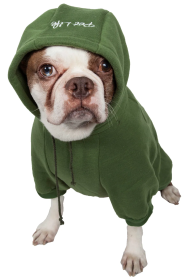 Cotton Dog Hoodies (Color: Green, Size: X-Small)