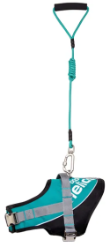 Adjustable 2-in-1 Leash and Harness Dog Walking Set (Color: Green, Size: Small)