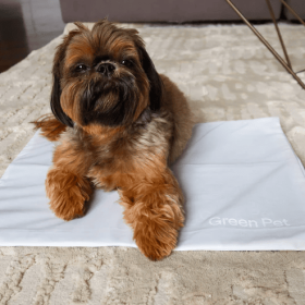 Cool Pet Pad Cover (Color: Cloud, Size: Small)
