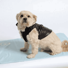 Cool Pet Pad Cover (Color: Light Blue, Size: Small)