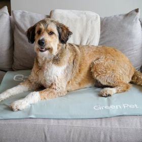 Cool Pet Pad Cover (Color: Sage, Size: Small)