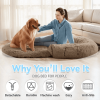 Foldable Orthopedic Human Dog Beds