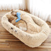 Orthopedic Human Dog Bed
