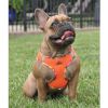 Step-In Dog Harnesses Hawaiian Trim - Sunset Orange