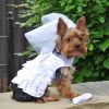 Wedding Dress Dog Walking Sets