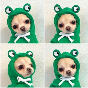 Cute Fruit Dog Clothes For Small Dogs Hoodies Winter Warm Fleece Pet Clothing (Option: 5 Style-S)