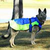 All-Weather Dog Coat - Blue and Green