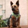 Choke Free Step-In Dog Harnesses - Limestone Gray