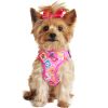 Choke Free Dog Back-Clip Dog Harness