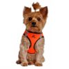 Step-In Dog Harnesses - Iridescent Orange