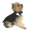 Black Tuxedo Harness Dog Walking Set with Bow Tie