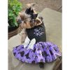 Halloween Dog Dress - Too Cute to Spook